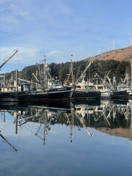 St. Herman Harbor, Degrading Float with Marine Growth, Kodiak, Alaska. Photo by Solstice Alaska