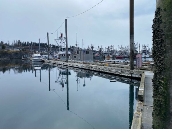 St. Herman Harbor Kodiak, Alaska