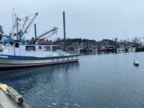 St. Herman Harbor Kodiak, Alaska